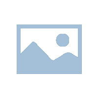 新干县玉峰水山洪沟防洪治理工程1标段